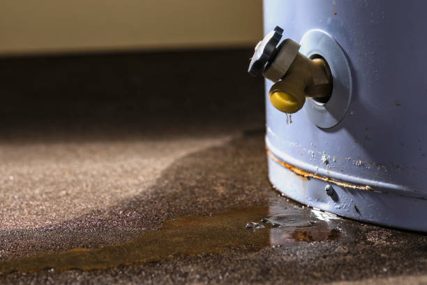 Best Professional water damage repair  in Bainbridge, PA