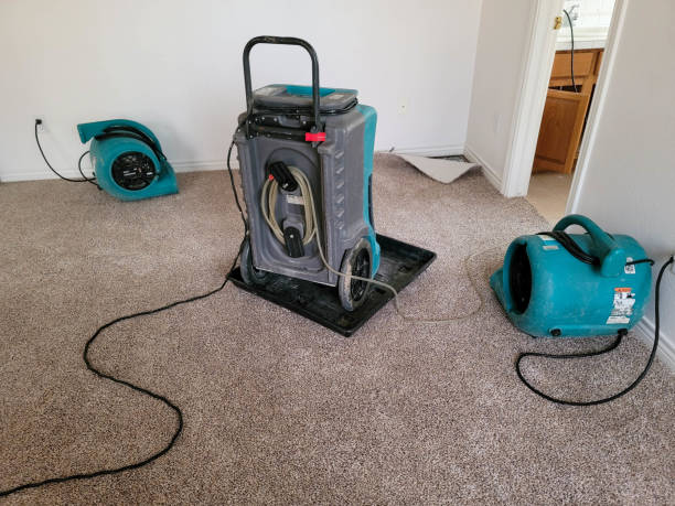 Best Carpet water damage restoration  in Bainbridge, PA