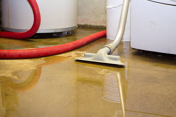 Best Flood damage cleanup  in Bainbridge, PA