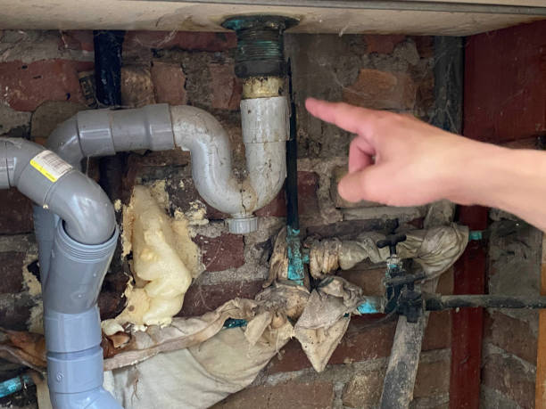 Best Flood restoration services  in Bainbridge, PA