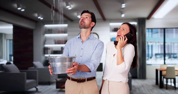 Best Water damage restoration company  in Bainbridge, PA