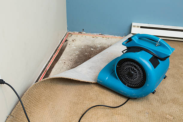 Best Sewage cleanup and water damage restoration  in Bainbridge, PA